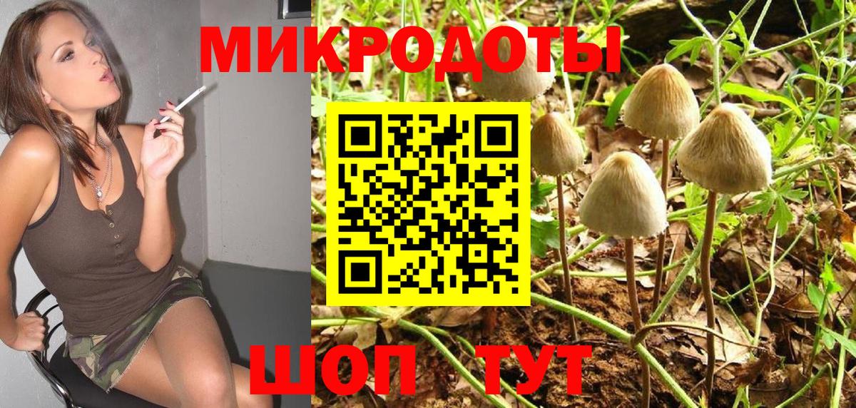 Владивосток  Псилоцибиновые грибы GOLDEN TEACHER  Вход с VPN 